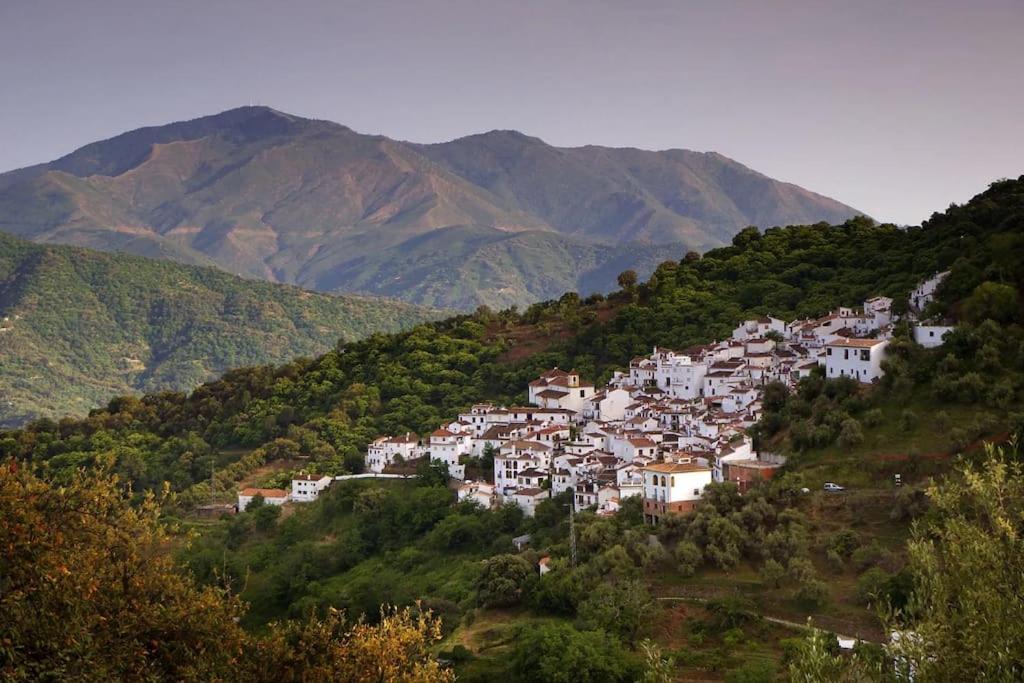 Casa Almenta - Tu Hogar Desconectar En El Pueblo Mas Bonito De Malaga * Benalauria